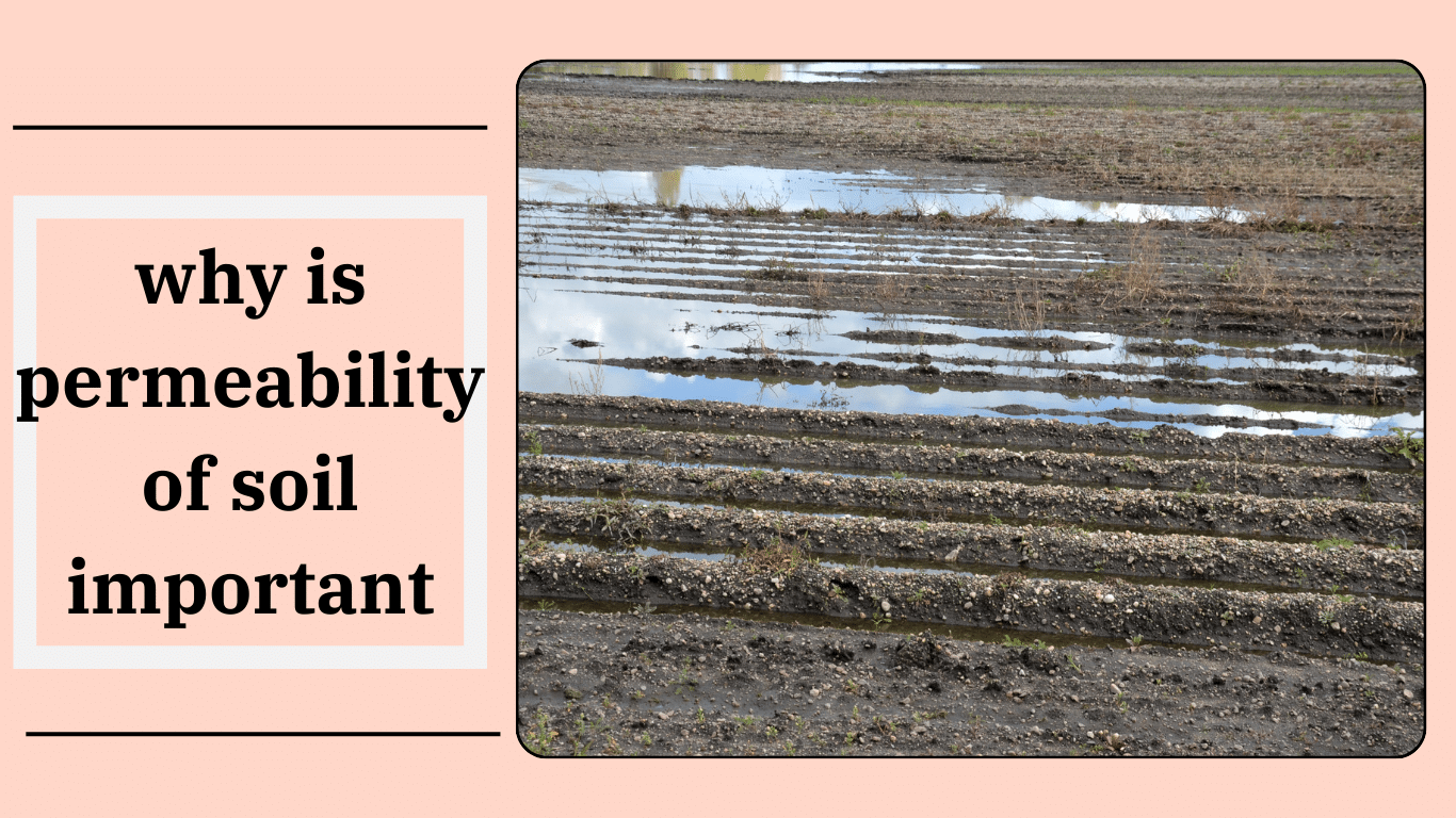 why is permeability of soil important