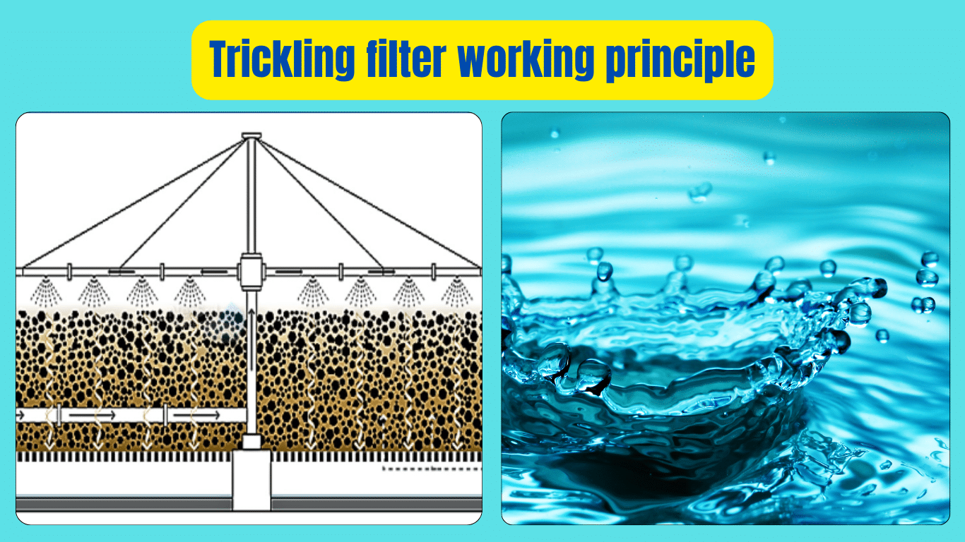 Trickling filter working principle