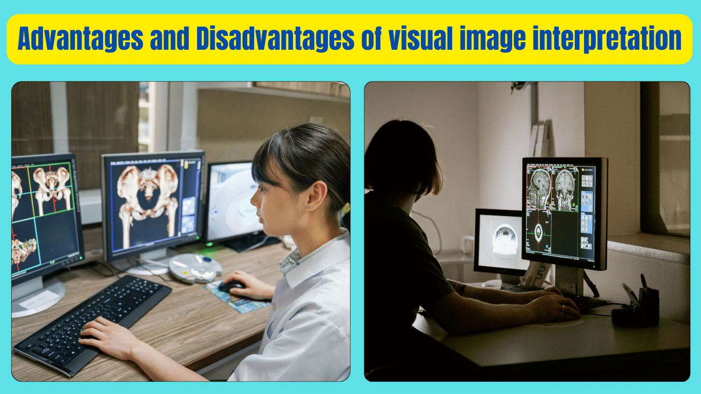 Advantages and Disadvantages of visual image interpretation
