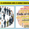 Why is professional code of conduct important
